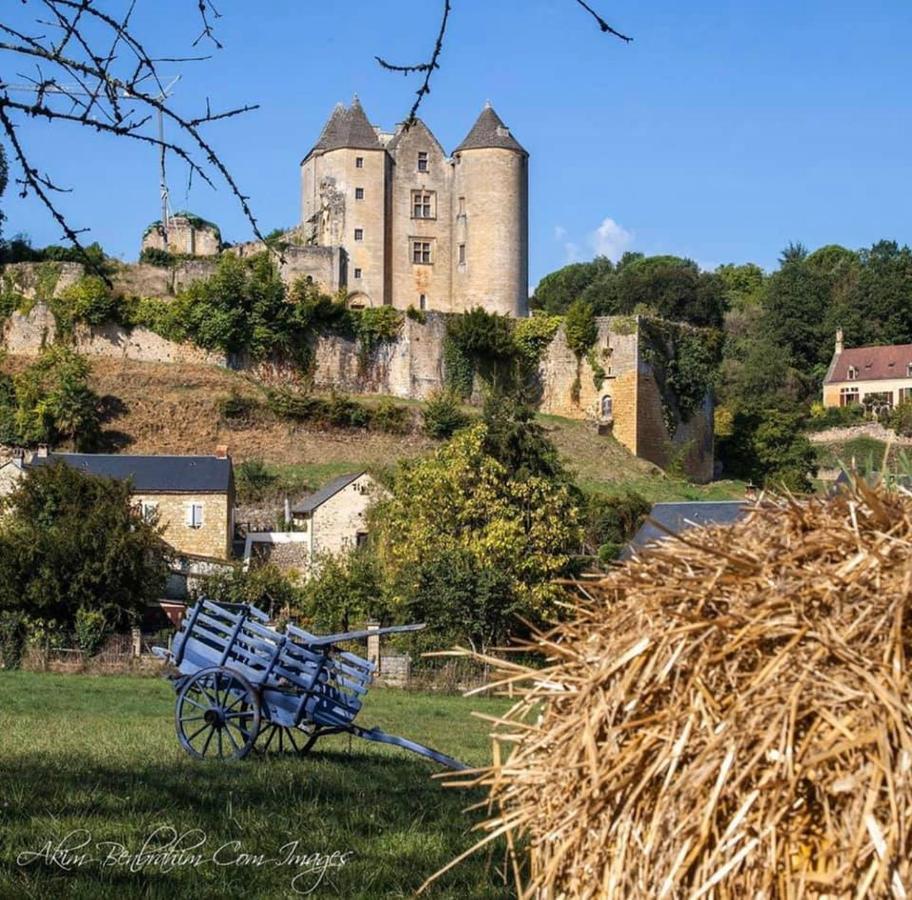 Petite Maison En Pierre Au Coeur Du Perigord Noir Salignac Eyvigues Luaran gambar